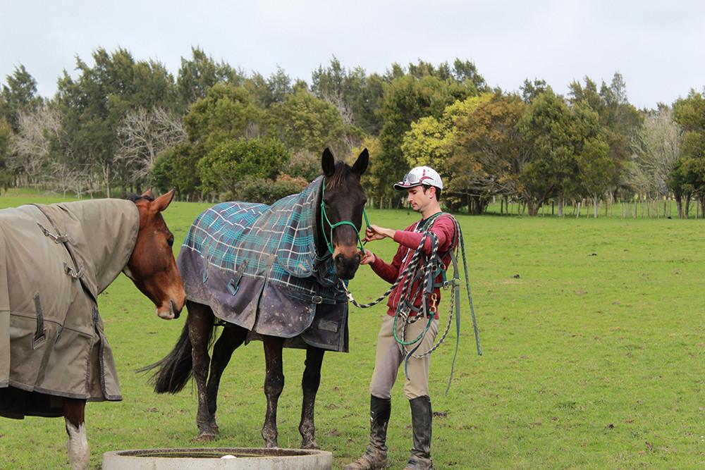 A Day in the Life of David Collett  Our Team Rider - Saddlery Direct