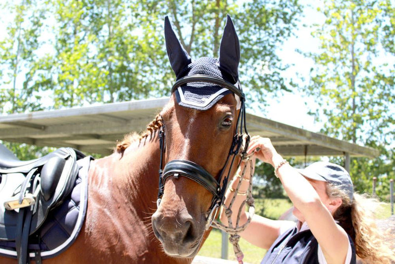 Bridle -  How to Fit Your Bridle - Saddlery Direct