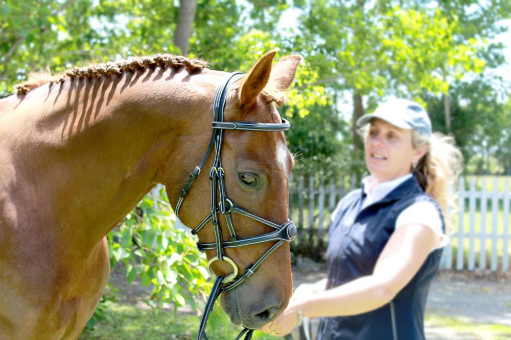 Bridle or Headstall Triva - Saddlery Direct