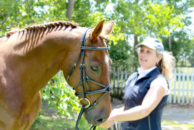 Bridle or Headstall Triva - Saddlery Direct