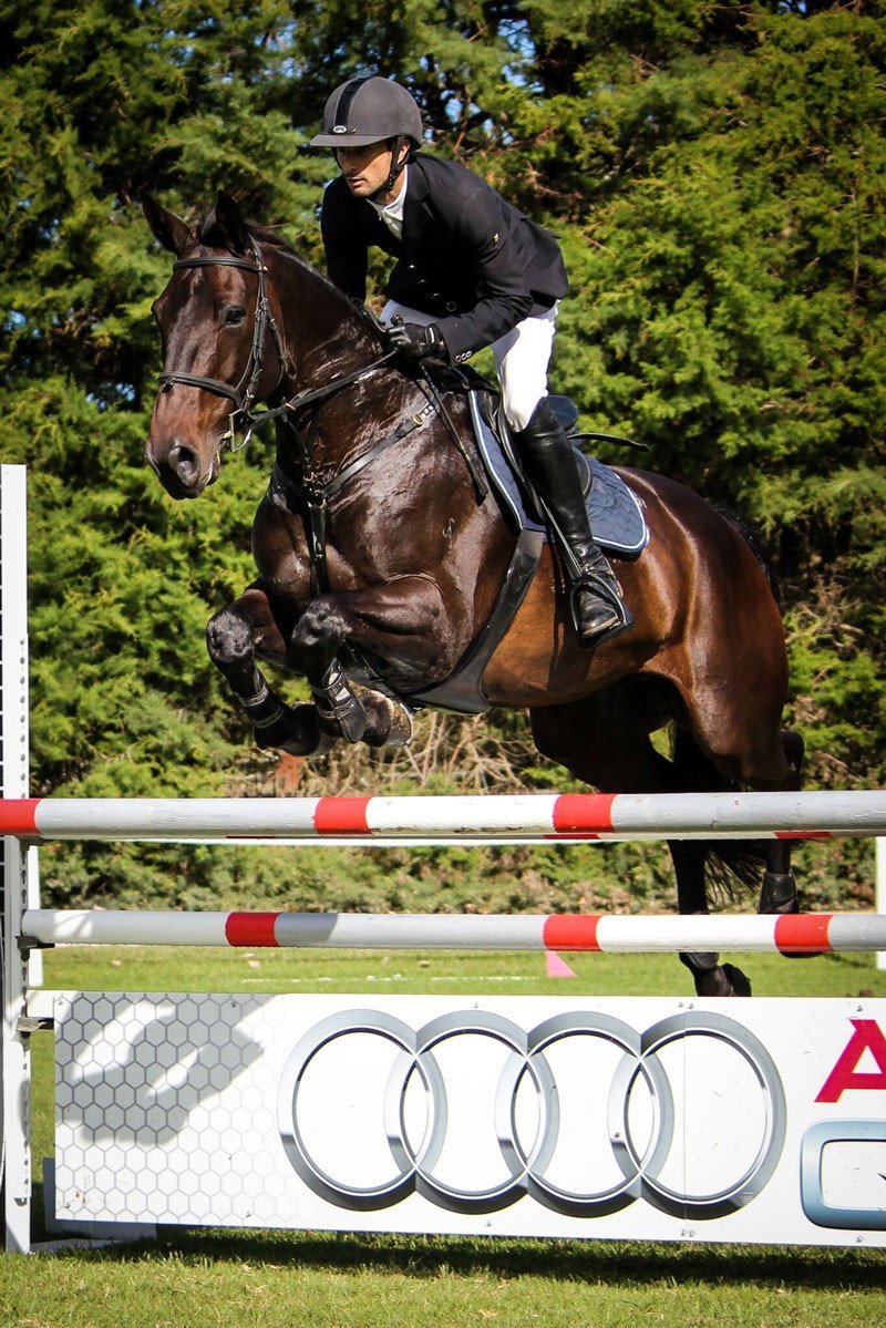 David Part of our Team - Saddlery Direct