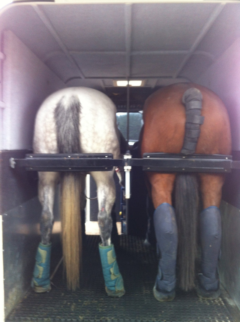 Travelling Your Horse - Saddlery Direct