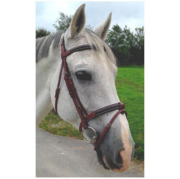 Cavaletti | Saddlery Direct