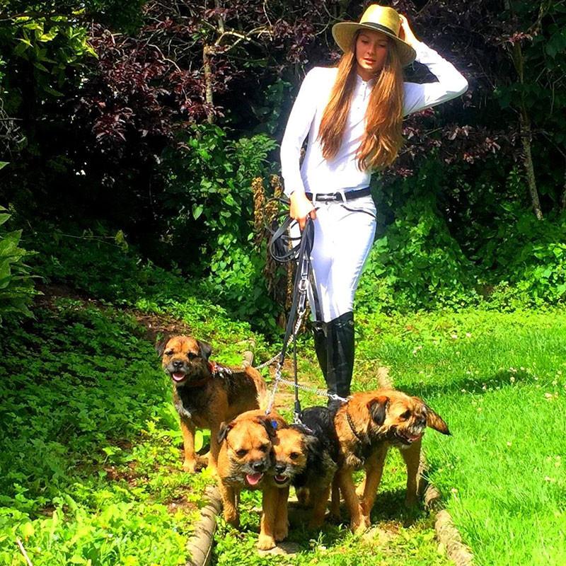 Dogs | Saddlery Direct