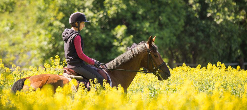 For The Rider | Saddlery Direct