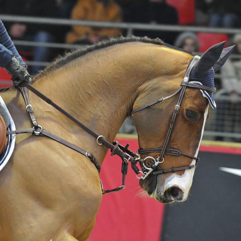 Silver Crown | Saddlery Direct