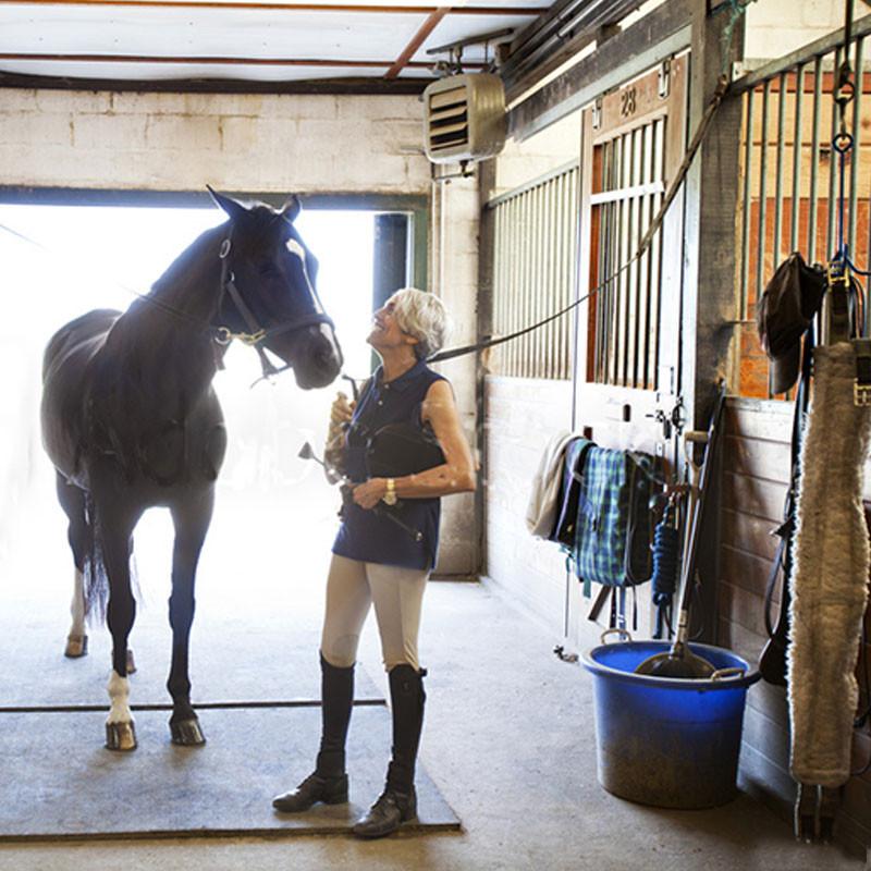 Stable Gear & Horse Toys | Saddlery Direct