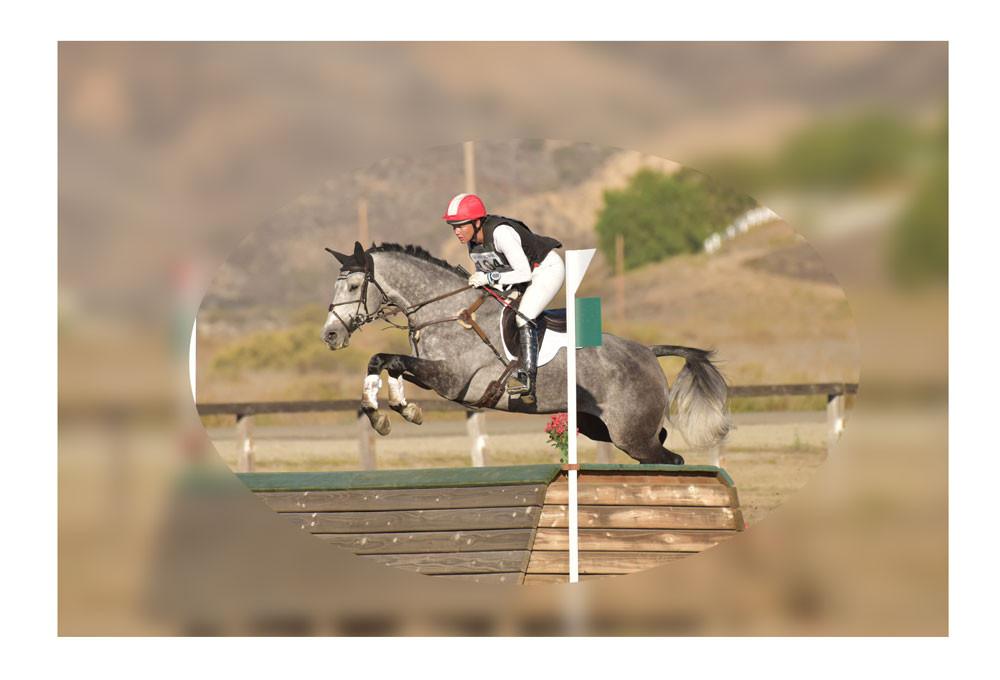 TSF Girths | Saddlery Direct