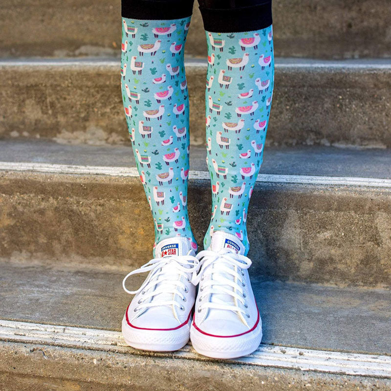 Dreamers & Schemers Socks