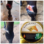 Kawakawa Gold with Active 15+ Manuka Honey for Horses & Hounds - Saddlery Direct