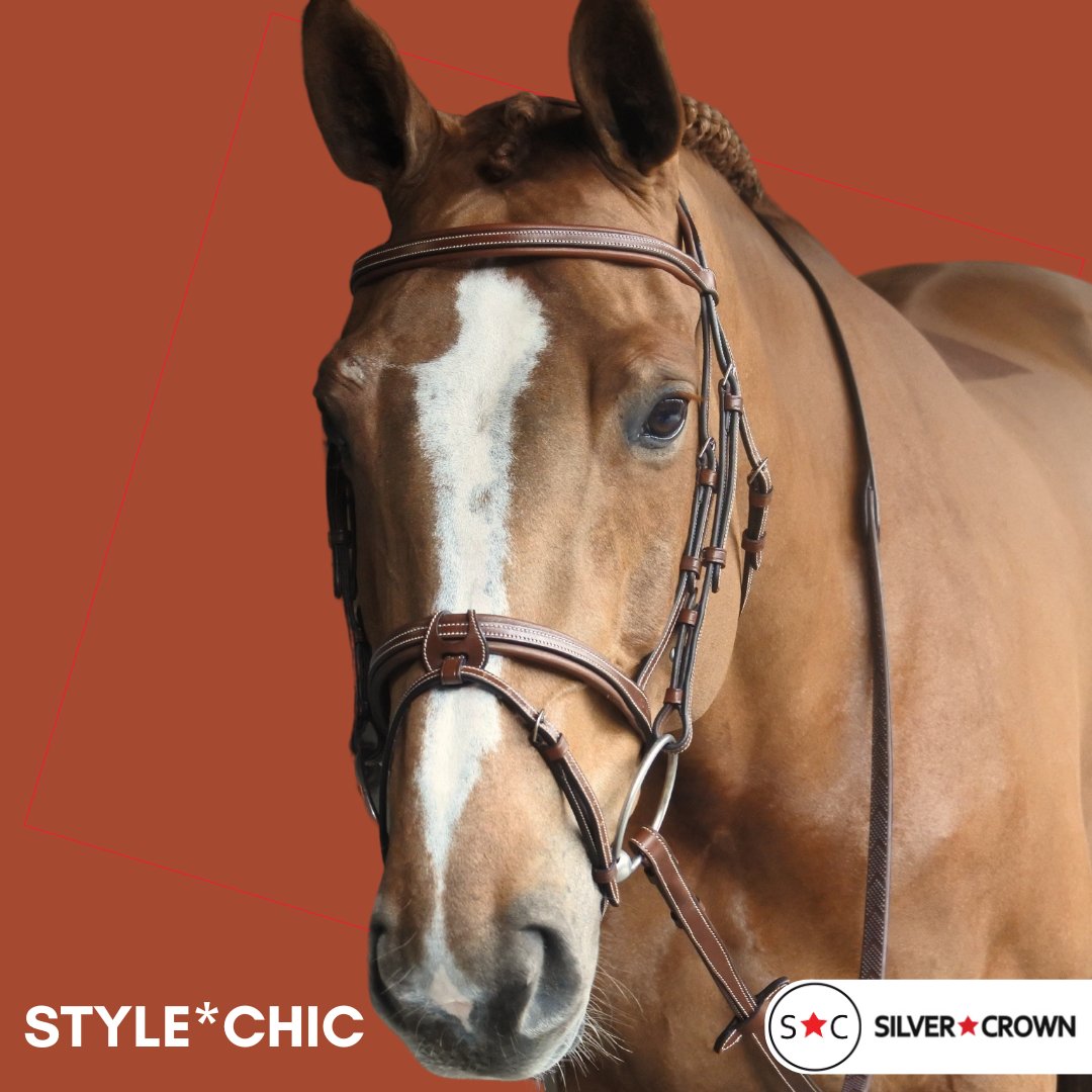 Silver Crown Bridle CHIC - Saddlery Direct