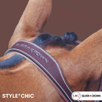 Silver Crown Bridle CHIC - Saddlery Direct
