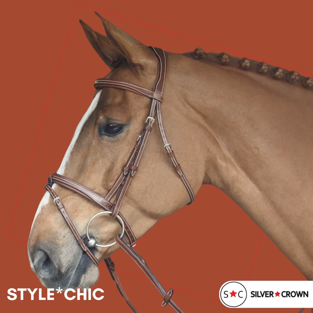 Silver Crown Bridle CHIC - Saddlery Direct