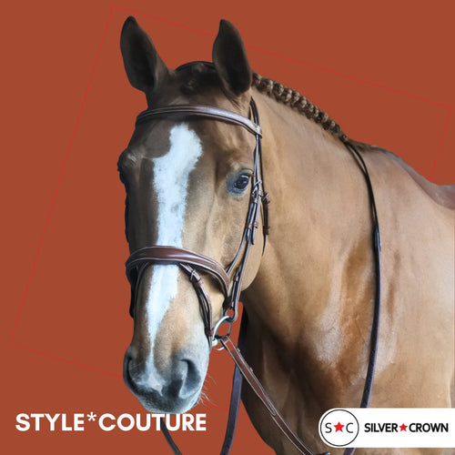 Silver Crown Bridle Tetiere Bridle - Saddlery Direct