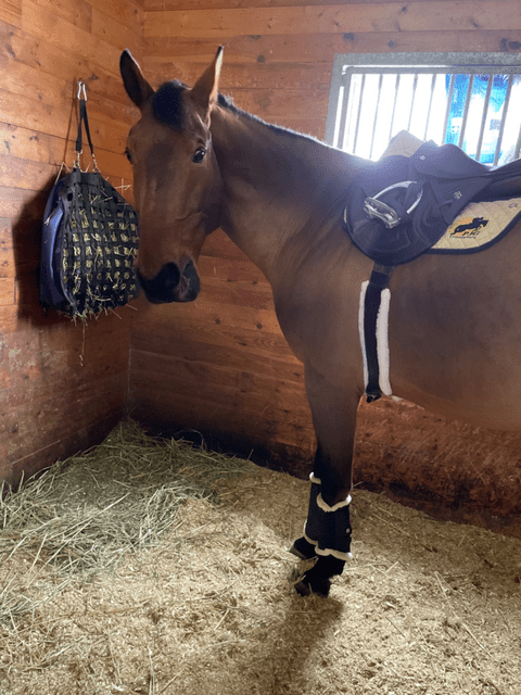 Spare or Extra Liners For Stretch Tec Girth Total Saddle Fit GP - Saddlery Direct