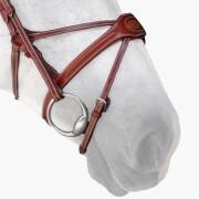 Spider Nose band - Saddlery Direct