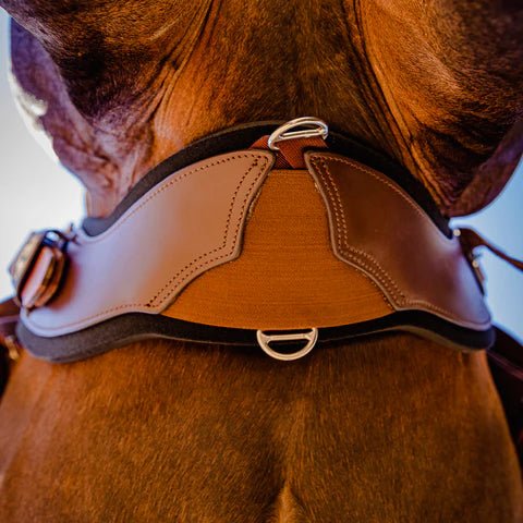 Total Saddle Fit Shoulder Stretch Tec Relief Cinch - Saddlery Direct