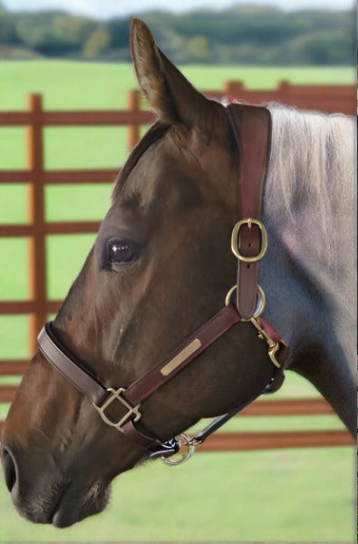 Anatomical Leather Halter - Saddlery Direct