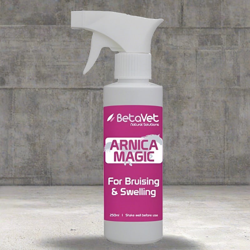 BetaVet Arnica Magic - Saddlery Direct