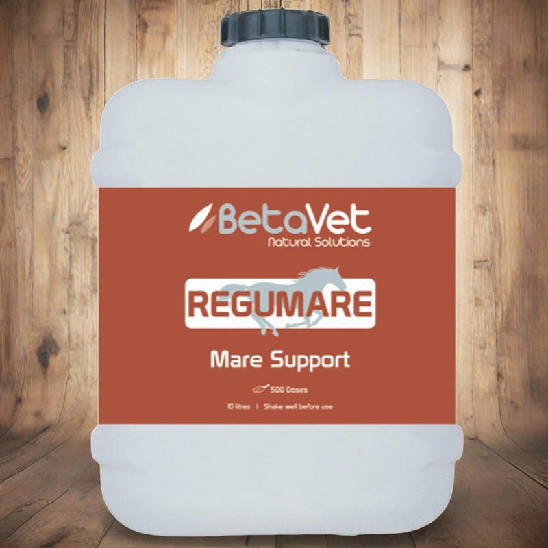 BetaVet ReguMare - Saddlery Direct