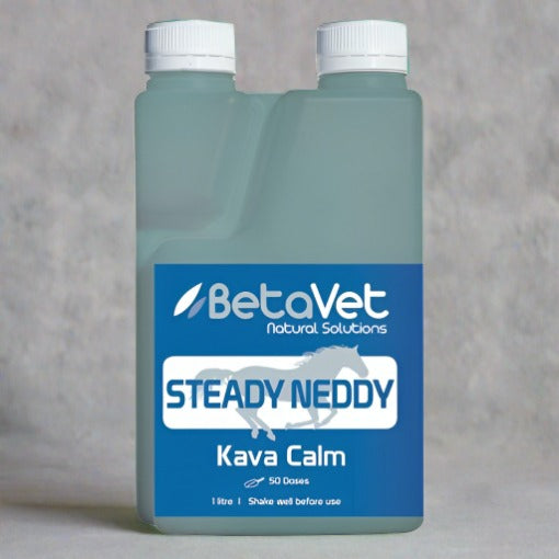 BetaVet Steady Neddy - Saddlery Direct