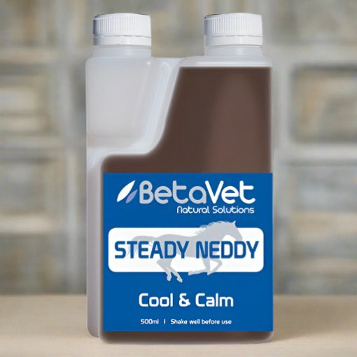 BetaVet Steady Neddy - Saddlery Direct