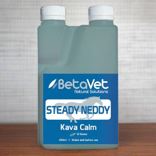 BetaVet Steady Neddy - Saddlery Direct
