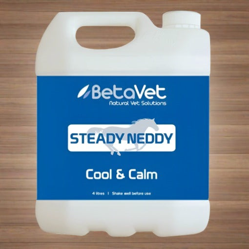 BetaVet Steady Neddy - Saddlery Direct