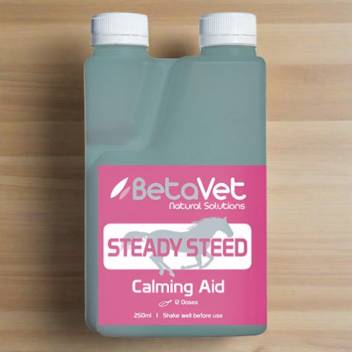 BetaVet Steady Steed - Saddlery Direct