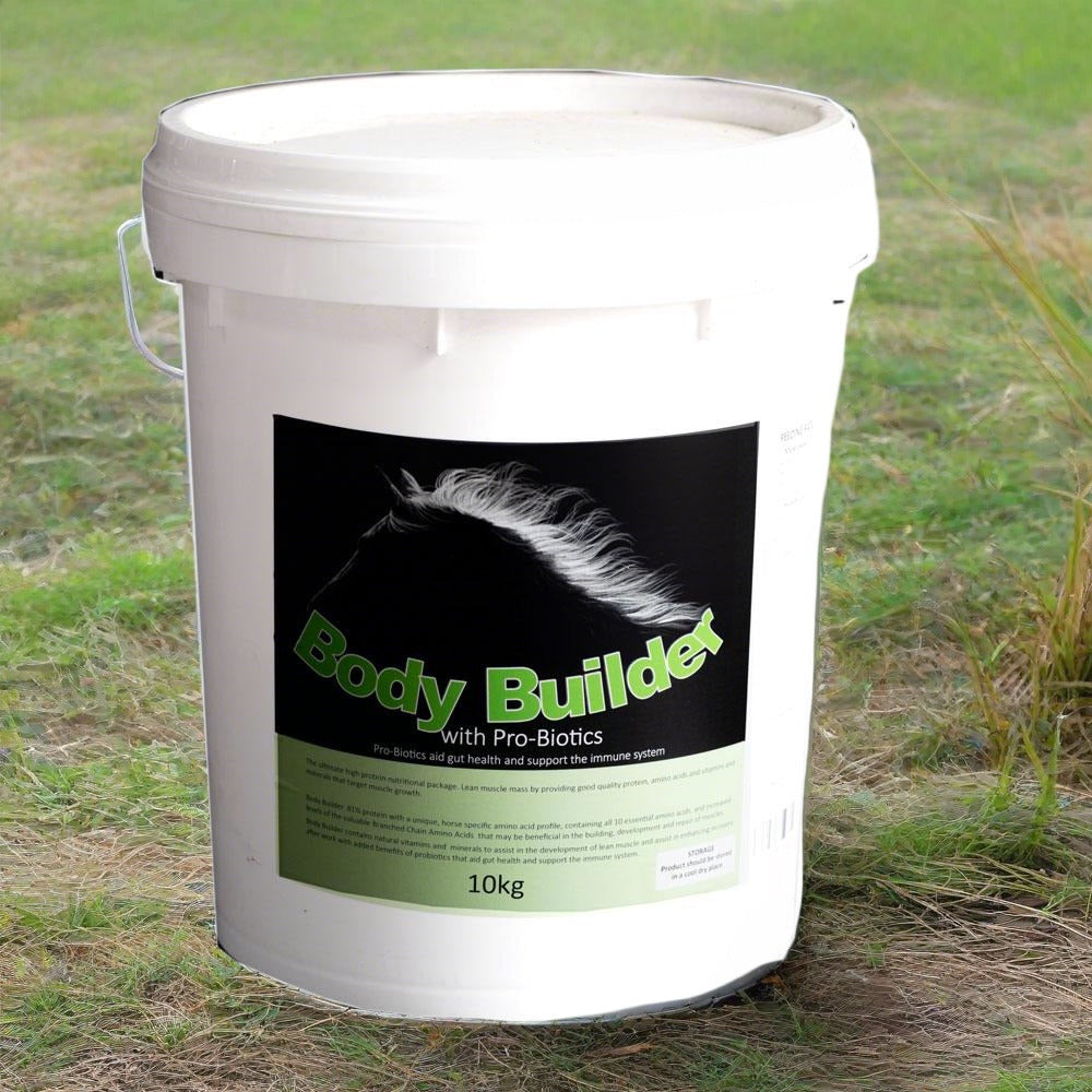 Body Builder - Saddlery Direct