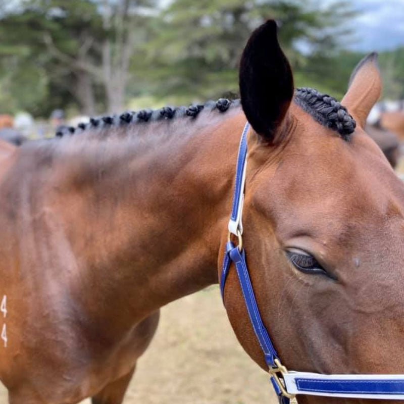 Honey Trap Stick It - Plaiting - Saddlery Direct