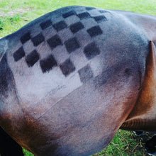 Mane & Tail Gloss - Saddlery Direct