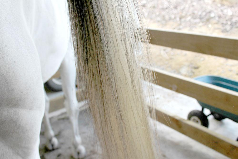 Showwhite Shampoo Bar - Saddlery Direct