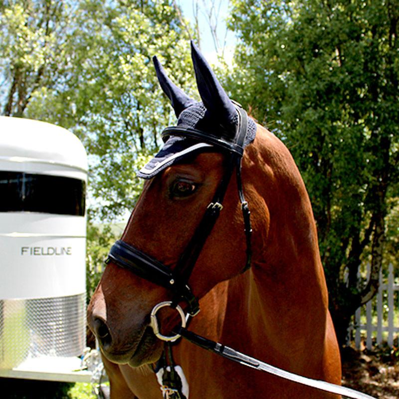 Silver Crown Bonnet/Earnet - Saddlery Direct