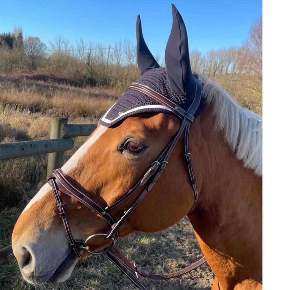 Silver Crown Bridle Black Half Moon Noseband Sale - Saddlery Direct