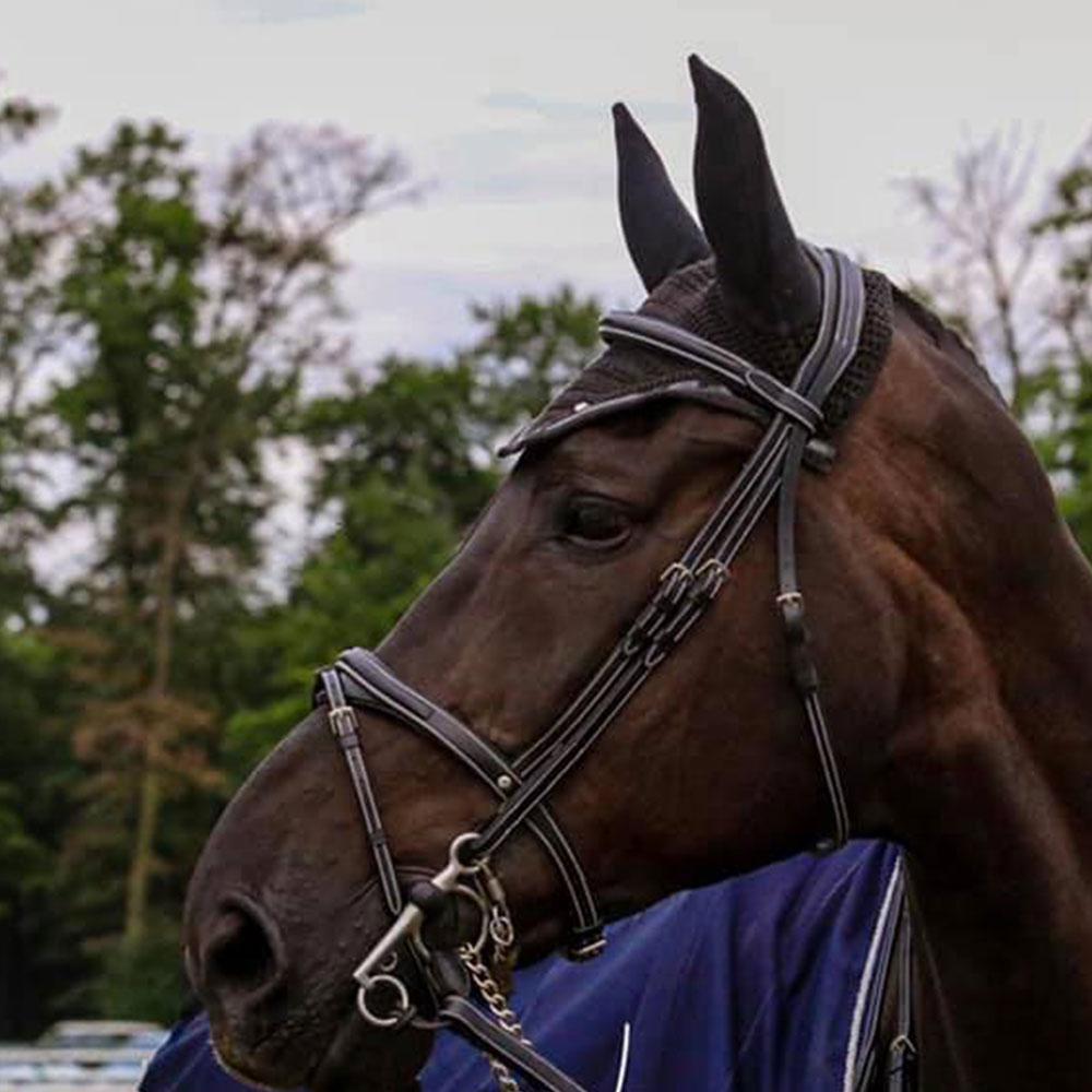 Silver Crown Bridle Black Half Moon Noseband Sale - Saddlery Direct