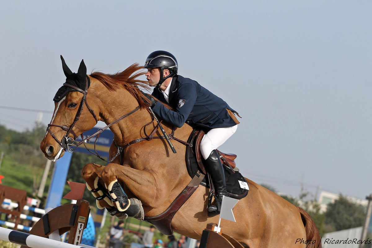 Silver Crown Rolled Brow Band - Saddlery Direct