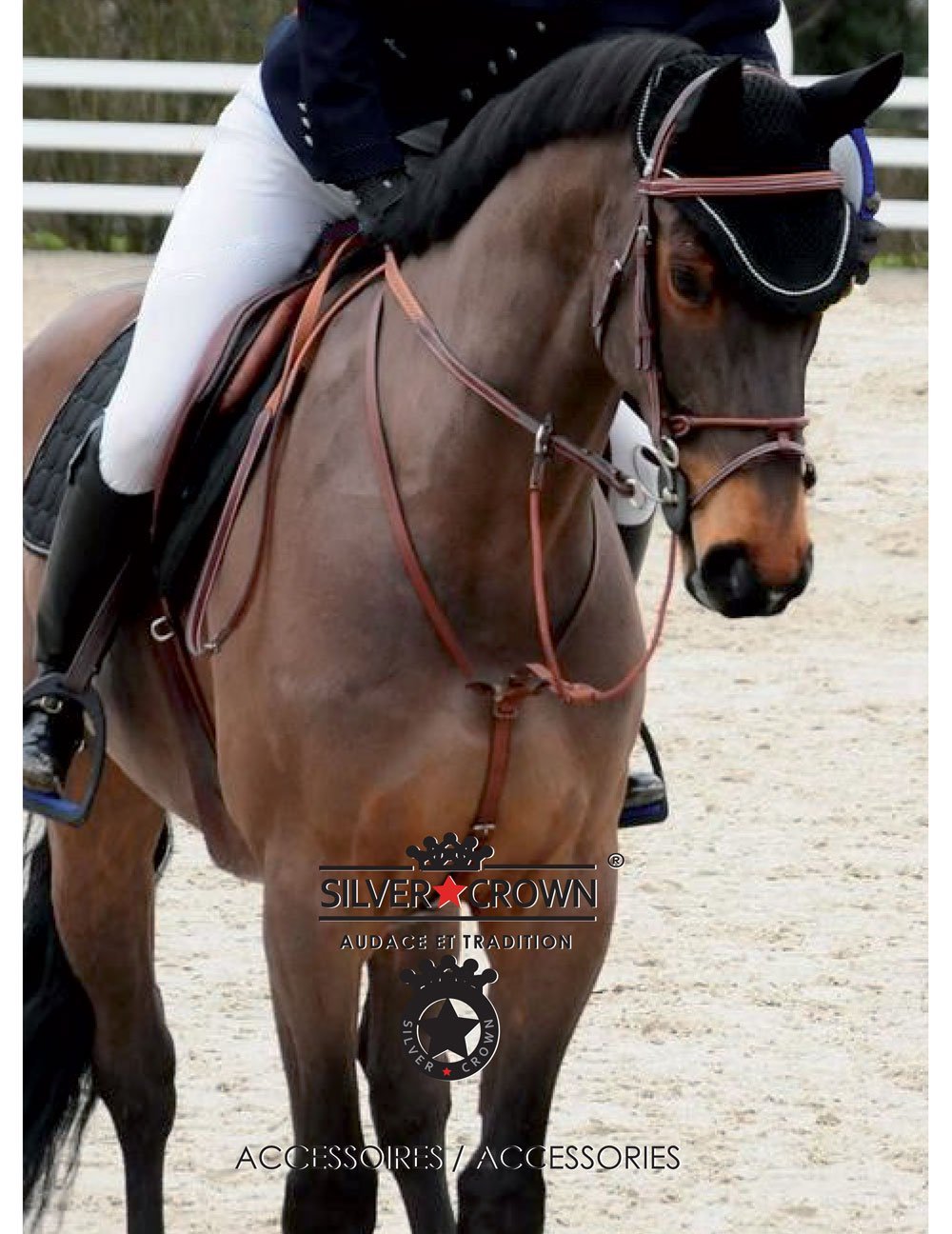 Silver Crown Rolled Brow Band - Saddlery Direct