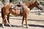 Total Saddle Fit Shoulder Relief Cinch Western - Saddlery Direct
