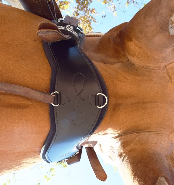 Total Saddle Fit Shoulder Relief Cinch Western - Saddlery Direct