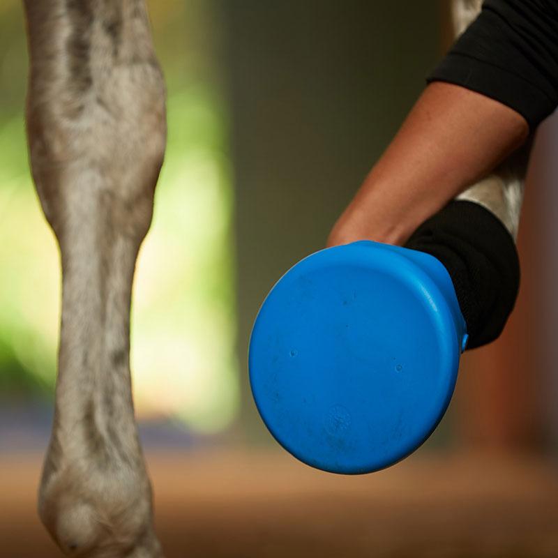 Tubbease Hoof Sock - Saddlery Direct