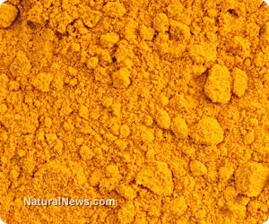 Turmeric - Saddlery Direct